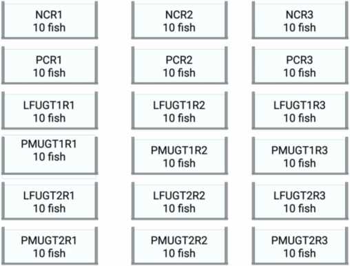 1998 ford crown victoria fuse box diagram