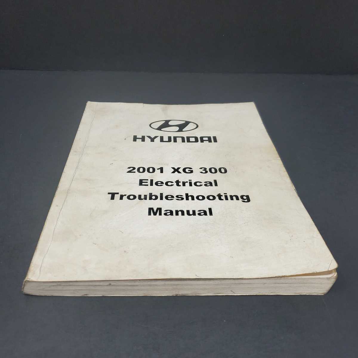 2001 hyundai xg300 fuse box diagram