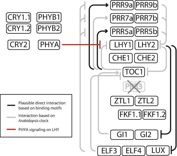 99 ranger 1999 ford ranger fuse box diagram