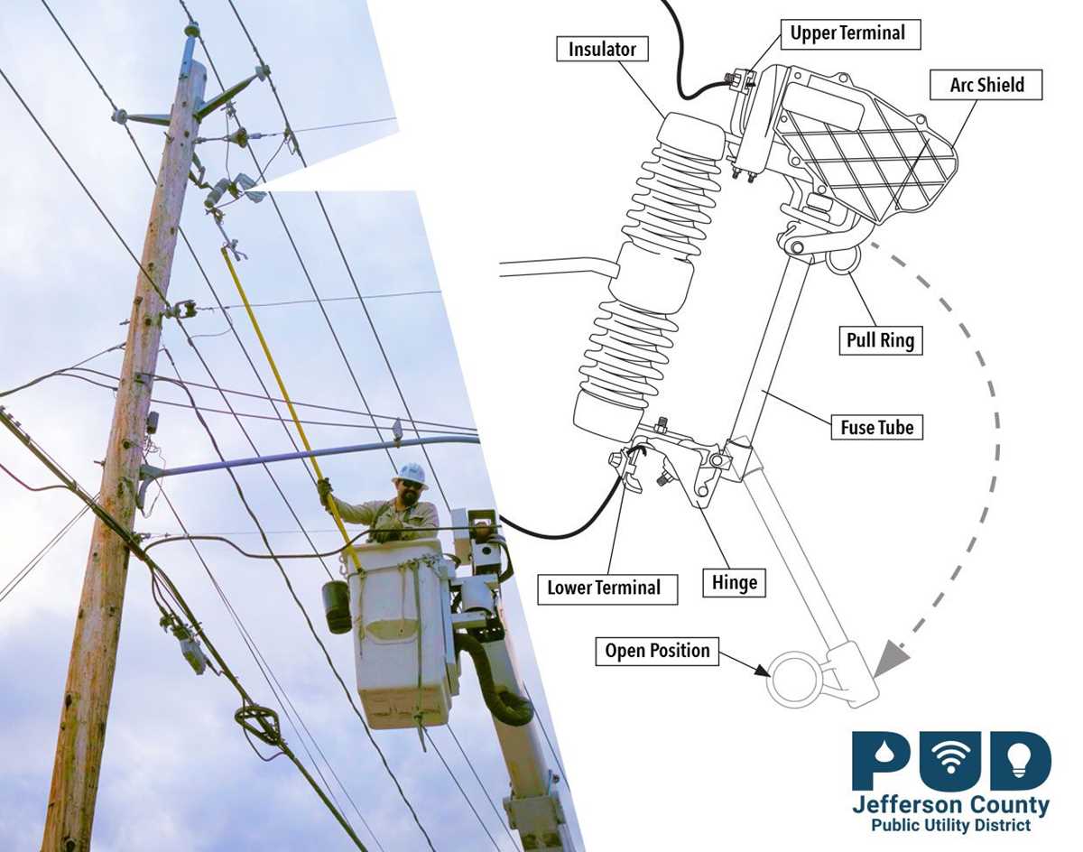 cut out fuse diagram
