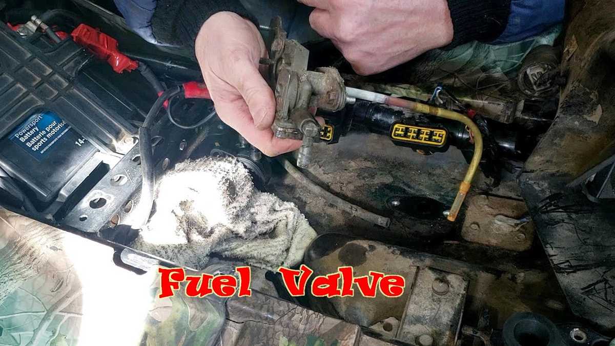 brute force 750 fuse box diagram