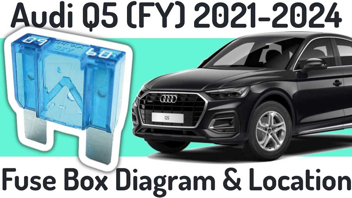 audi q5 rear fuse box diagram